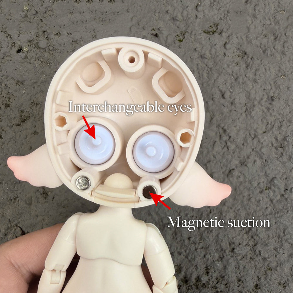 Lightweight interchangeable design